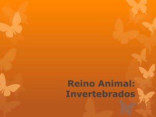 Reino Animal: 
Invertebrados 
 