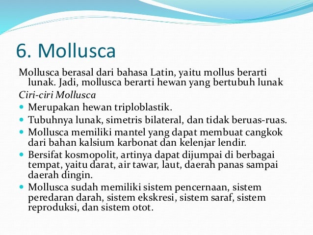 struktur tubuh invertebrata