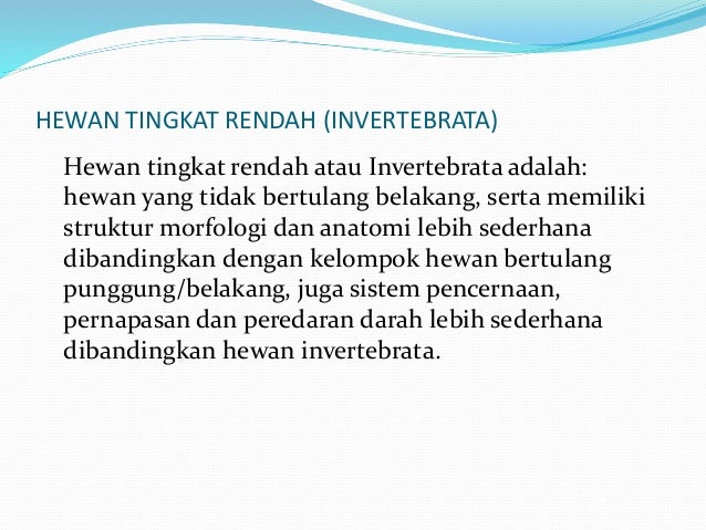 Struktur Tubuh Invertebrata