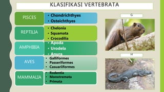 materi Invertebrata | PPTX