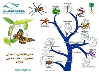 Invertebrate Practical lectures 2013