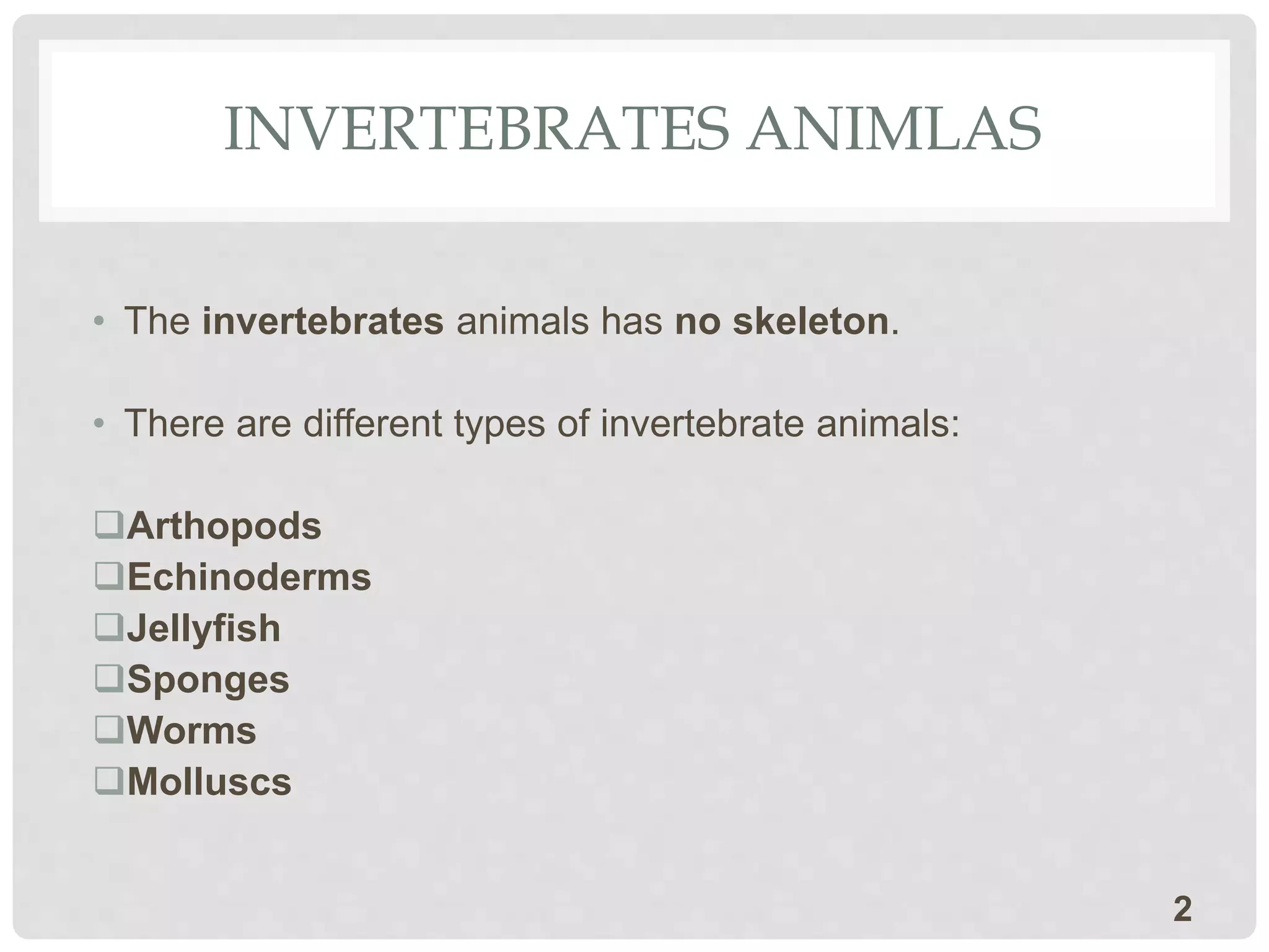 Invertebrate animals- Natural Science - 3rd primary | PPTX
