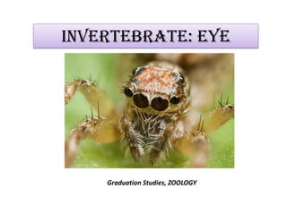 Invertebrate: EYE
Graduation Studies, ZOOLOGY
 