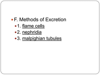 F. Methods of Excretion1. flame cells2. nephridia3. malpighian tubules