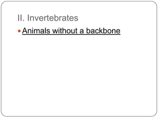 II. InvertebratesAnimals without a backbone
