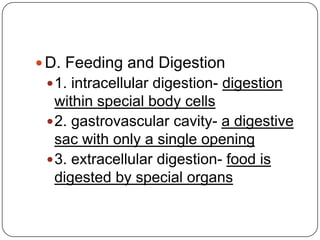 D. Feeding and Digestion1. intracellular digestion- digestion within special body cells2. gastrovascular cavity- a digestive sac with only a single opening3. extracellular digestion- food is digested by special organs