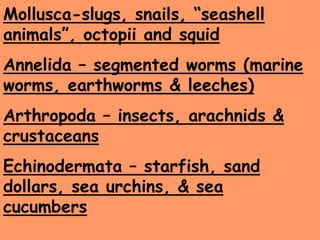 Invertebrate PPT-PAP.ppt