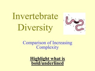 Invertebrate
Diversity
Comparison of Increasing
Complexity
Highlight what is
bold/underlined
 