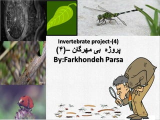 Invertebrate project (4)