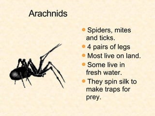 Spiders, mites
 and ticks.
4 pairs of legs
Most live on land.
Some live in
 fresh water.
They spin silk to
 make traps for
 prey.
 