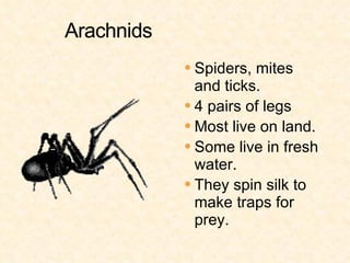 <ul><li>Spiders, mites and ticks. </li></ul><ul><li>4 pairs of legs </li></ul><ul><li>Most live on land. </li></ul><ul><li...