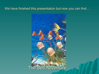 We have finished this presentation but now you can find… The Sea Adventure 