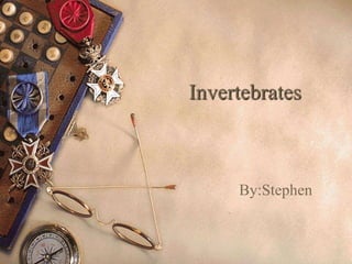 Invertebrates



     By:Stephen
 