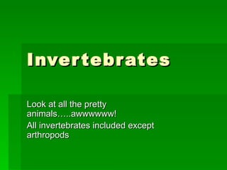 Invertebrates Look at all the pretty animals…..awwwwww! All invertebrates included except arthropods 