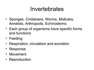 Invertebrates
• Sponges, Cnidarians, Worms, Mollusks,
  Annelids, Arthropods, Echinoderms
• Each group of organisms have specific forms
  and functions
• Feeding
• Respiration, circulation and excretion
• Response
• Movement
• Reproduction
 