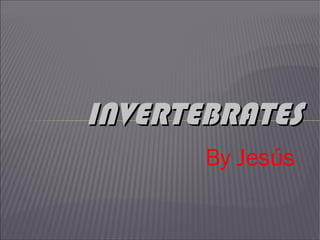INVERTEBRATES
By Jesús

 