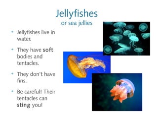 Jellyfishes
or sea jellies
➔
Jellyfishes live in
water.
➔
They have soft
bodies and
tentacles.
➔
They don't have
fins.
➔
Be careful! Their
tentacles can
sting you!
 
