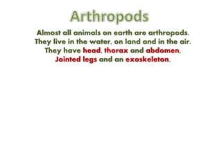 Almost all animals on earth are arthropods.
They live in the water, on land and in the air.
They have head, thorax and abdomen,
Jointed legs and an exoskeleton.
 