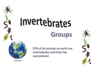 97% of all animals on earth are
invertebrates and they live
everywhere!
 