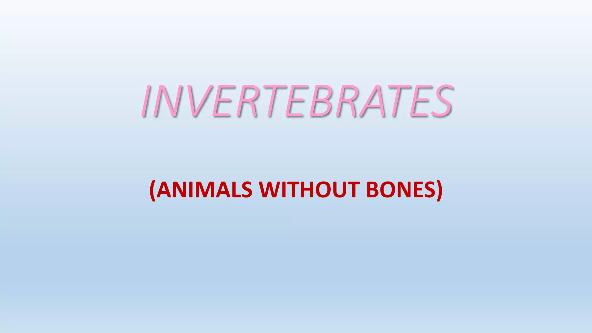 Invertebrates | PPTX