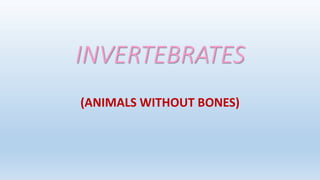 INVERTEBRATES
(ANIMALS WITHOUT BONES)
 