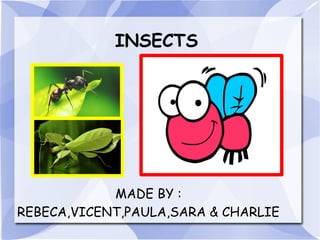 INSECTS
MADE BY :
REBECA,VICENT,PAULA,SARA & CHARLIE
 