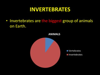 INVERTEBRATES
• Invertebrates are the biggest group of animals
on Earth.
ANIMALS
Vertebrates
Invertebrates
 
