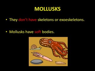 MOLLUSKS
• They don’t have skeletons or exoeskeletons.
• Mollusks have soft bodies.
 