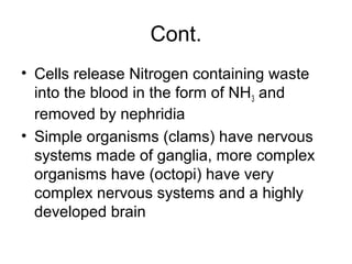 Cont.
• Cells release Nitrogen containing waste
into the blood in the form of NH3 and
removed by nephridia
• Simple organisms (clams) have nervous
systems made of ganglia, more complex
organisms have (octopi) have very
complex nervous systems and a highly
developed brain
 