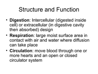 Structure and Function
• Digestion: Intercellular (digested inside
cell) or extracellular (in digestive cavity
then absorbed) design
• Respiration: large moist surface area in
contact with air and water where diffusion
can take place
• Circulation: move blood through one or
more hearts and an open or closed
circulator system
 
