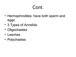 Cont.
• Hermaphrodites: have both sperm and
eggs
• 3 Types of Annelids
• Oligochaetes
• Leeches
• Polychaetes
 