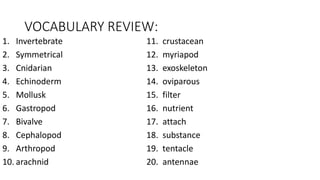 VOCABULARY REVIEW:
1. Invertebrate 11. crustacean
2. Symmetrical 12. myriapod
3. Cnidarian 13. exoskeleton
4. Echinoderm 14. oviparous
5. Mollusk 15. filter
6. Gastropod 16. nutrient
7. Bivalve 17. attach
8. Cephalopod 18. substance
9. Arthropod 19. tentacle
10. arachnid 20. antennae
 