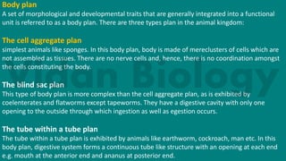 Body plan
A set of morphological and developmental traits that are generally integrated into a functional
unit is referred to as a body plan. There are three types plan in the animal kingdom:
The cell aggregate plan
simplest animals like sponges. In this body plan, body is made of mereclusters of cells which are
not assembled as tissues. There are no nerve cells and, hence, there is no coordination amongst
the cells constituting the body.
The blind sac plan
This type of body plan is more complex than the cell aggregate plan, as is exhibited by
coelenterates and flatworms except tapeworms. They have a digestive cavity with only one
opening to the outside through which ingestion as well as egestion occurs.
The tube within a tube plan
The tube within a tube plan is exhibited by animals like earthworm, cockroach, man etc. In this
body plan, digestive system forms a continuous tube like structure with an opening at each end
e.g. mouth at the anterior end and ananus at posterior end.
 