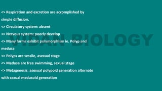 <> Respiration and excretion are accomplished by
simple diffusion.
<> Circulatory system: absent
<> Nervous system: poorly develop
<> Many forms exhibit polymorphism ie. Polyp and
medusa
<> Polyps are sessile, asexual stage
<> Medusa are free swimming, sexual stage
<> Metagenesis: asexual polypoid generation alternate
with sexual medusoid generation
 