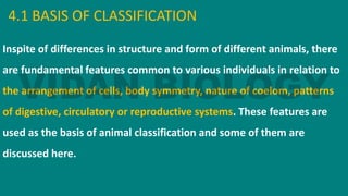 4.1 BASIS OF CLASSIFICATION
Inspite of differences in structure and form of different animals, there
are fundamental features common to various individuals in relation to
the arrangement of cells, body symmetry, nature of coelom, patterns
of digestive, circulatory or reproductive systems. These features are
used as the basis of animal classification and some of them are
discussed here.
 