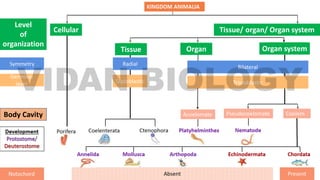 Level
of
organization
Body Cavity
Cellular
Tissue Organ Organ system
Tissue/ organ/ Organ system
 