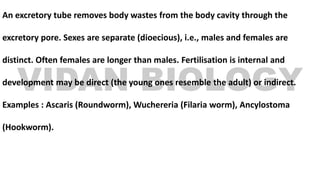 An excretory tube removes body wastes from the body cavity through the
excretory pore. Sexes are separate (dioecious), i.e., males and females are
distinct. Often females are longer than males. Fertilisation is internal and
development may be direct (the young ones resemble the adult) or indirect.
Examples : Ascaris (Roundworm), Wuchereria (Filaria worm), Ancylostoma
(Hookworm).
 