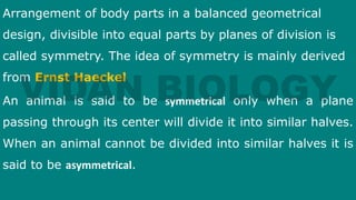Arrangement of body parts in a balanced geometrical
design, divisible into equal parts by planes of division is
called symmetry. The idea of symmetry is mainly derived
from Ernst Haeckel
An animal is said to be symmetrical only when a plane
passing through its center will divide it into similar halves.
When an animal cannot be divided into similar halves it is
said to be asymmetrical.
 