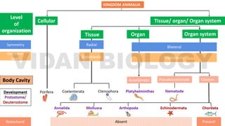 Level
of
organization
Body Cavity
Cellular
Tissue Organ Organ system
Tissue/ organ/ Organ system
 