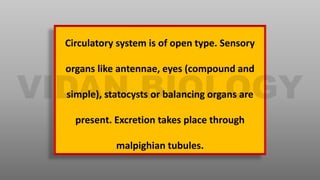 Circulatory system is of open type. Sensory
organs like antennae, eyes (compound and
simple), statocysts or balancing organs are
present. Excretion takes place through
malpighian tubules.
 