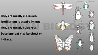 They are mostly dioecious.
Fertilisation is usually internal.
They are mostly oviparous.
Development may be direct or
indirect.
 
