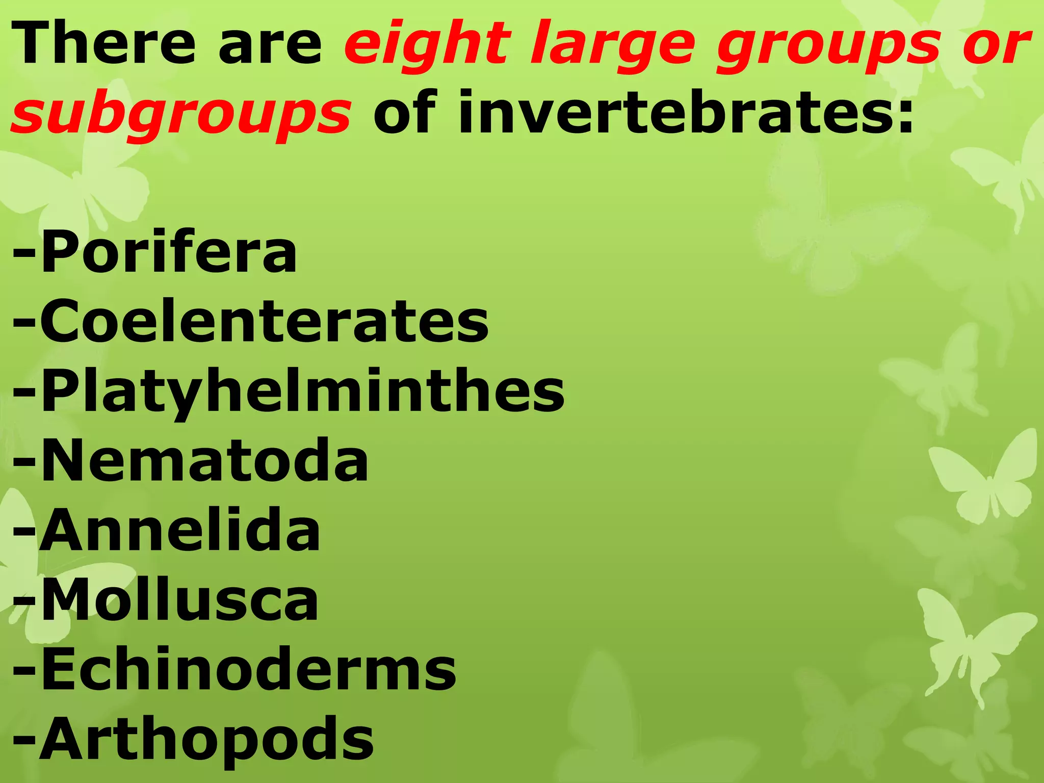 Invertebaarates.pptx