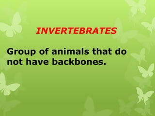 INVERTEBRATES
Group of animals that do
not have backbones.
 