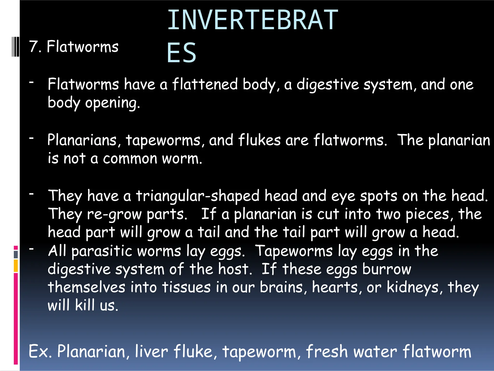 INVERTEBRAT
ES
7. Flatworms
- Flatworms have a flattened body, a digestive system, and one
body opening.
- Planarians, tapeworms, and flukes are flatworms. The planarian
is not a common worm.
- They have a triangular-shaped head and eye spots on the head.
They re-grow parts. If a planarian is cut into two pieces, the
head part will grow a tail and the tail part will grow a head.
- All parasitic worms lay eggs. Tapeworms lay eggs in the
digestive system of the host. If these eggs burrow
themselves into tissues in our brains, hearts, or kidneys, they
will kill us.
Ex. Planarian, liver fluke, tapeworm, fresh water flatworm
 
