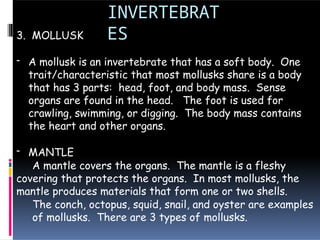 INVERTEBRAT
ES
3. MOLLUSK
- A mollusk is an invertebrate that has a soft body. One
trait/characteristic that most mollusks share is a body
that has 3 parts: head, foot, and body mass. Sense
organs are found in the head. The foot is used for
crawling, swimming, or digging. The body mass contains
the heart and other organs.
- MANTLE
A mantle covers the organs. The mantle is a fleshy
covering that protects the organs. In most mollusks, the
mantle produces materials that form one or two shells.
The conch, octopus, squid, snail, and oyster are examples
of mollusks. There are 3 types of mollusks.
 