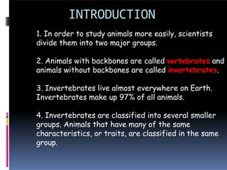 INTRODUCTION
1. In order to study animals more easily, scientists
divide them into two major groups.
2. Animals with backbones are called vertebrates and
animals without backbones are called invertebrates.
3. Invertebrates live almost everywhere on Earth.
Invertebrates make up 97% of all animals.
4. Invertebrates are classified into several smaller
groups. Animals that have many of the same
characteristics, or traits, are classified in the same
group.
 