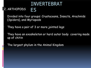 INVERTEBRAT
ES
2. ARTHOPODS
- Divided into four groups: Crustaceans, Insects, Arachnids
(Spiders), and Myriapods
- They have a pair of 3 or more jointed legs
- They have an exoskeleton or hard outer body covering made
up of chitin
- The largest phylum in the Animal Kingdom
 