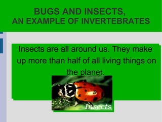 BUGS AND INSECTS,  AN EXAMPLE OF INVERTEBRATES Insects are all around us. They make up more than half of all living things on the plane t.  