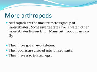 More arthropods
 Arthropods are the most numerous group of
  invertebrates . Some invertebrates live in water ,other
  in...