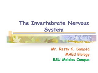 The Invertebrate Nervous
System
Mr. Resty C. Samosa
MAEd Biology
BSU Malolos Campus
 